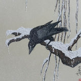 Raven with snow (24 x 27 cm)