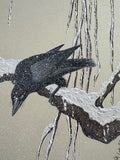 Raven with snow (24 x 27 cm)