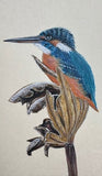Kingfisher (7,5 cm)