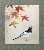Shikishi-Kake (SH-Tbs/124 cm)