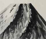 Fuji (6 x 9 cm)