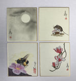 Sunshouann Kake (S/62 cm)