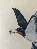 Swallow with dragon-fly (18 x 21 cm)