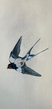 Swallow (7,5 cm)