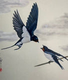 Swallows (18 x 21 cm)