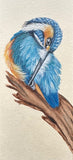 Kingfisher (7,5 cm)