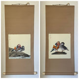 Shikishi Kake (75 cm)