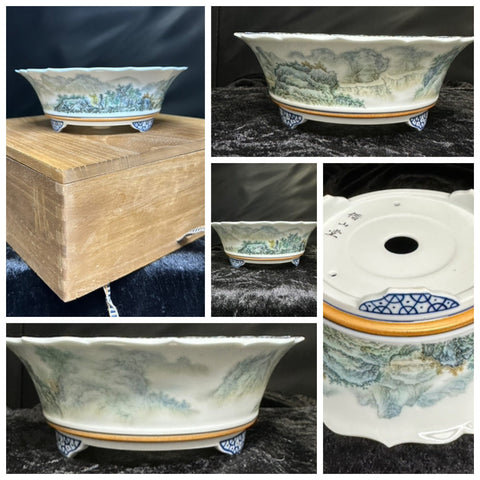 Bonsai-Pot with BOX "soft landscape II"