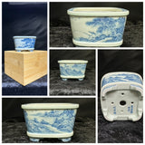 Bonsai-Pot with BOX "blue landscape"