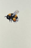 Bumblebee (7,5 cm)