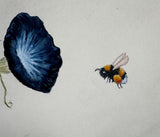Morning glory with bumblebee (24 x 27 cm)