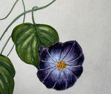 Morning glory with bumblebee (24 x 27 cm)