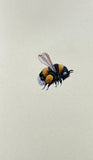 Bumblebee (7,5 cm)