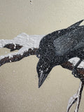 Raven with snow (24 x 27 cm)