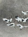 Cranes with snow (24 x 27 cm)