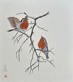 Robins (24 x 27 cm)