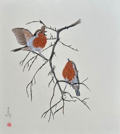 Robins (24 x 27 cm)