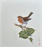 Robin (24 x 27 cm)