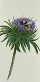 Flower with bumblebee (7,5 cm)