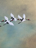 Cranes (24 x 27 cm)