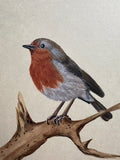 Robin (18 x 21 cm)
