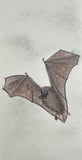 Bat (7,5 cm)