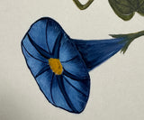 Flower with bumblebee (24 x 27 cm)