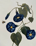Flower with bumblebee (24 x 27 cm)