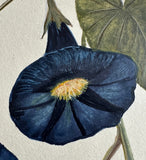 Flower with bumblebee (24 x 27 cm)