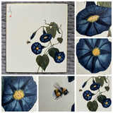 Flower with bumblebee (24 x 27 cm)