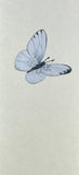 Butterfly (6 cm)