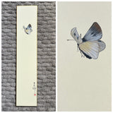 Butterfly (7,5 cm)