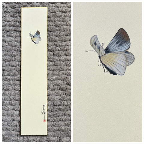 Butterfly (7,5 cm)