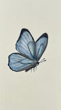 Butterfly (7,5 cm)
