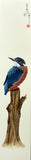 Kingfisher (7,5 cm)