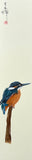 Kingfisher (7,5 cm)