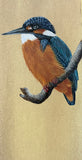 Kingfisher (7,5 cm)