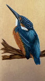 Kingfisher (7 ,5 cm)