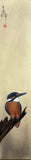 Kingfisher (7,5 cm)