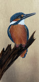 Kingfisher (7,5 cm)