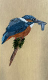 Kingfisher (7,5 cm)