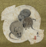 Mouses (Rb-MD7)