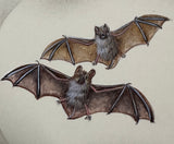 Bats with moon (24 x 27 cm)