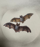 Bats with moon (24 x 27 cm)