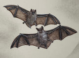Bats with moon (24 x 27 cm)