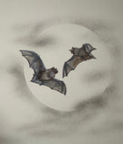 Bats with moon (24 x 27 cm)