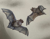 Bats with moon (24 x 27 cm)