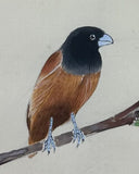 Bird with cherry blossom (108 cm)