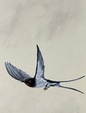 Swallows (7,5 cm)