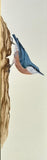 Nuthatch (7,5 cm)